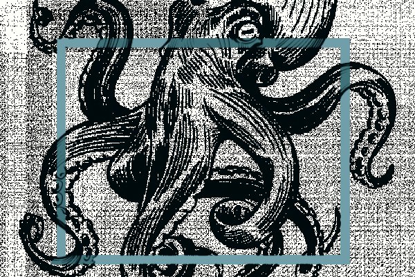 Kraken tor song